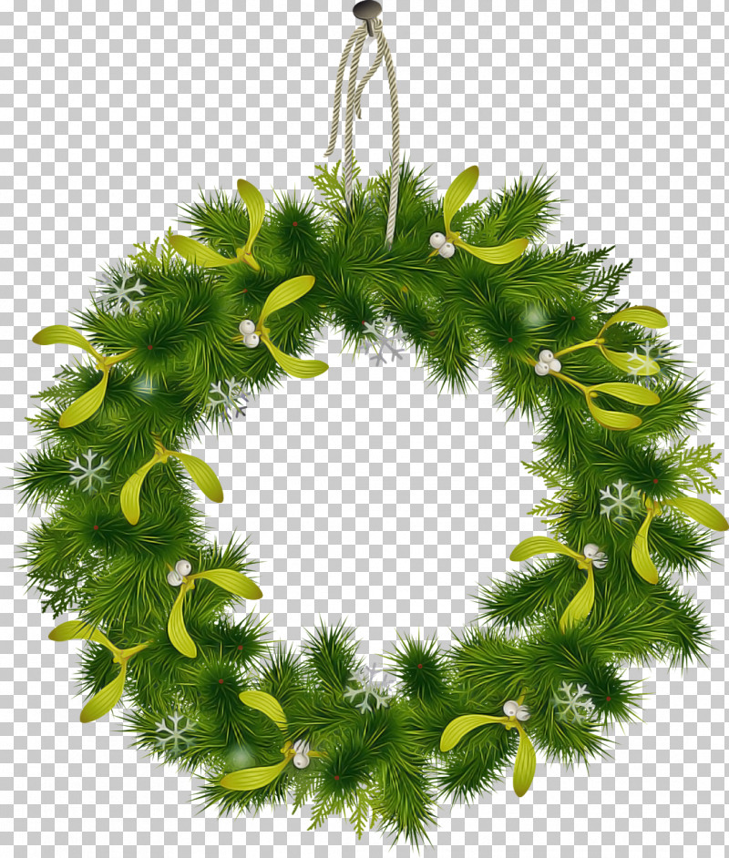 Christmas Decoration PNG, Clipart, Christmas Decoration, Clubmoss, Fir, Flower, Grass Free PNG Download