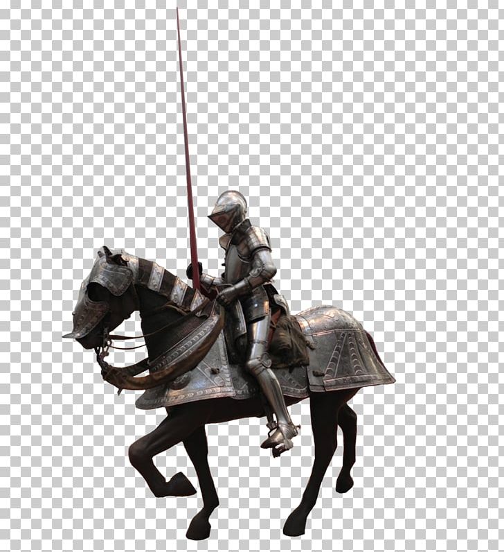 Horse Donkey PhotoScape GIMP PNG, Clipart, Animal, Armour, August 20, Blog, Caballo Free PNG Download