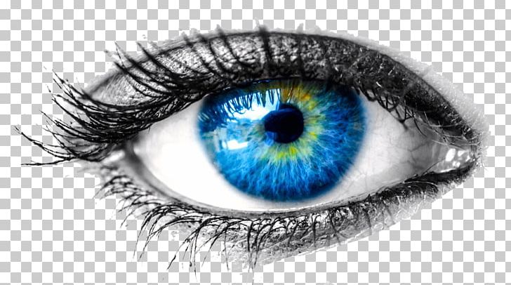 Human Eye Cornea Visual Perception Eye Examination PNG, Clipart, Black And White, Closeup, Computer Wallpaper, Cornea, Corneal Endothelium Free PNG Download