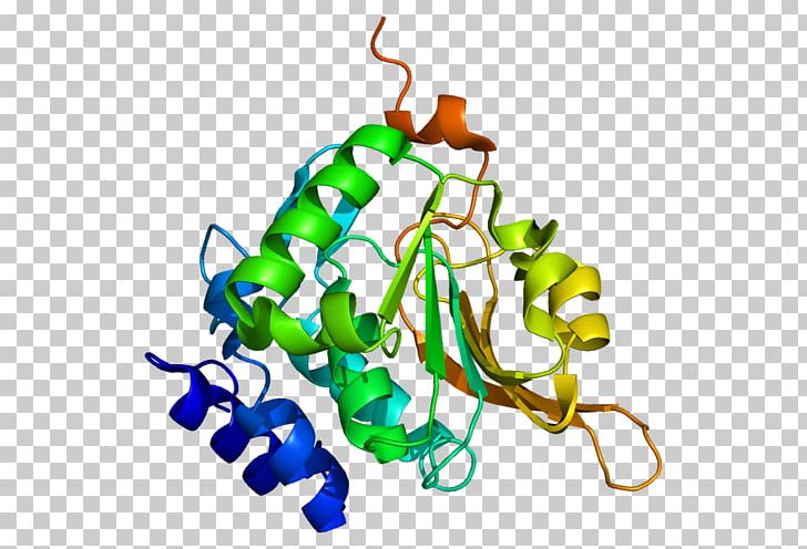 Procalcitonin Molecule Protein Structure Mass Spectrometry PNG, Clipart, 1 I, 1 N, Artwork, Asparagine, Deamidation Free PNG Download