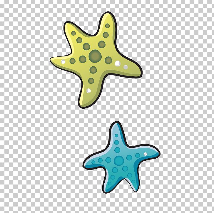 Starfish PNG, Clipart, Animals, Book, Christmas Star, Clip Art, Download Free PNG Download