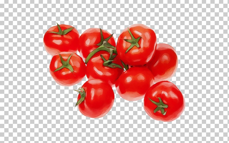 Tomato PNG, Clipart, Bush Tomato, Cherry, Cherry Tomatoes, Flower, Food Free PNG Download