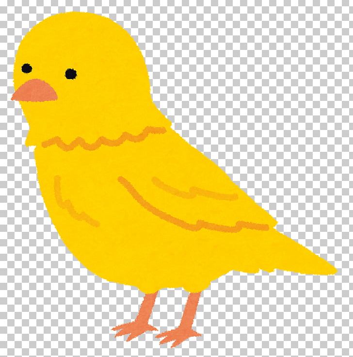 Atlantic Canary Stock Photography いらすとや PNG, Clipart, Alamy, Animal Figure, Art, Atlantic Canary, Beak Free PNG Download