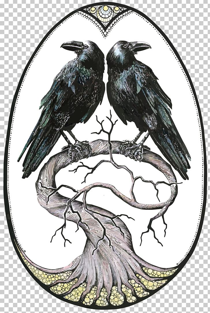 Common Raven Rook Bird PNG, Clipart, Animals, Art, Beak, Cartoon, Col Free PNG Download