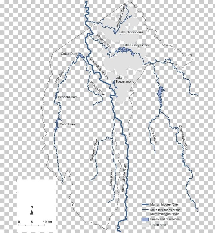 Line Point Map Organism PNG, Clipart, Area, Art, Diagram, Drawing, Line Free PNG Download