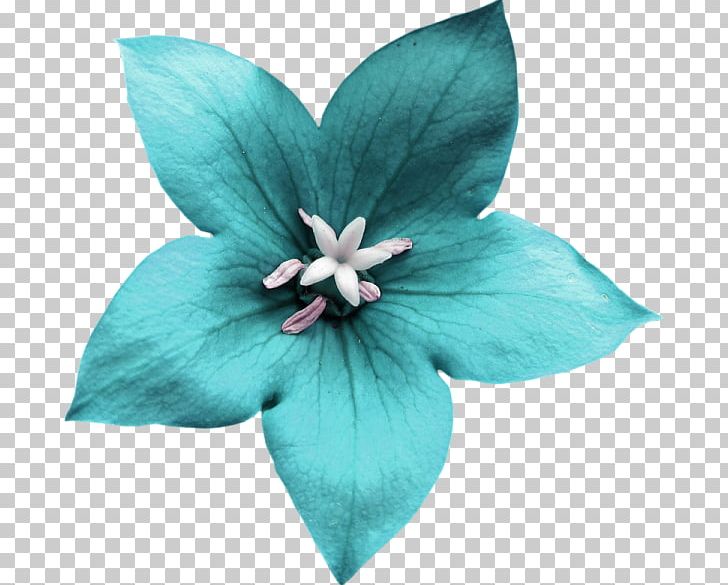 Blue Flower PNG, Clipart, Blue, Color, Encapsulated Postscript, Flower, Flowering Plant Free PNG Download