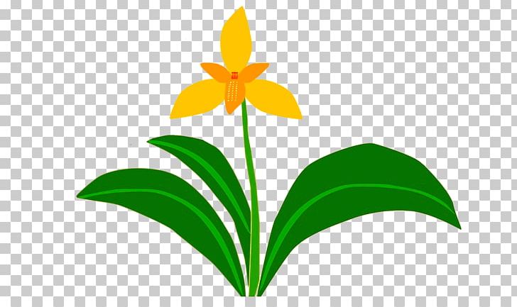 Flowering Plant Orchids Nahuelbuta Plants PNG, Clipart, Artwork, Flora, Flower, Flowering Plant, Leaf Free PNG Download