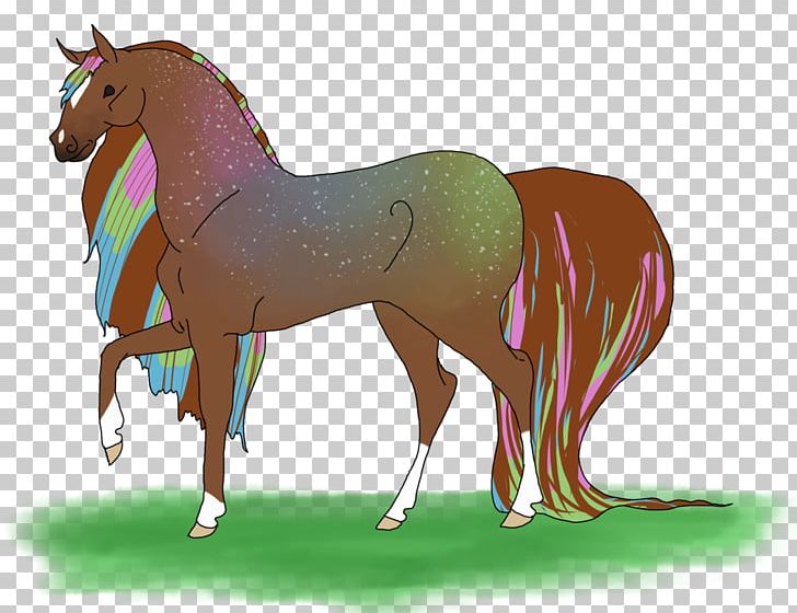 Mane Mustang Foal Stallion Pony PNG, Clipart, Bridle, Cartoon, Colt, Dog Harness, Foal Free PNG Download