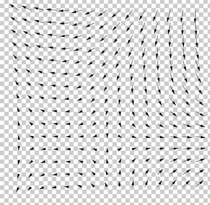 Point Field Physics PNG, Clipart, Angle, Area, Black, Black And White, Circle Free PNG Download