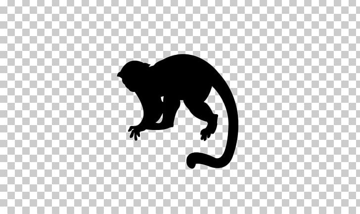 Cat Mammal Great Apes Canidae Dog PNG, Clipart, Animals, Ape, Black, Black And White, Black M Free PNG Download