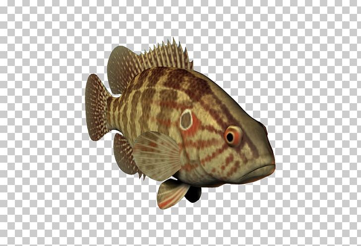 Fish Three-dimensional Space Ocean PNG, Clipart, Animal, Data Compression, Euclidean Vector, Fauna, Fish Free PNG Download