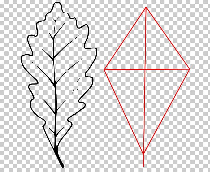 Leaf Plant Stem Triangle Tree PNG, Clipart, Angle, Area, Black And White, Flower, Leaf Free PNG Download