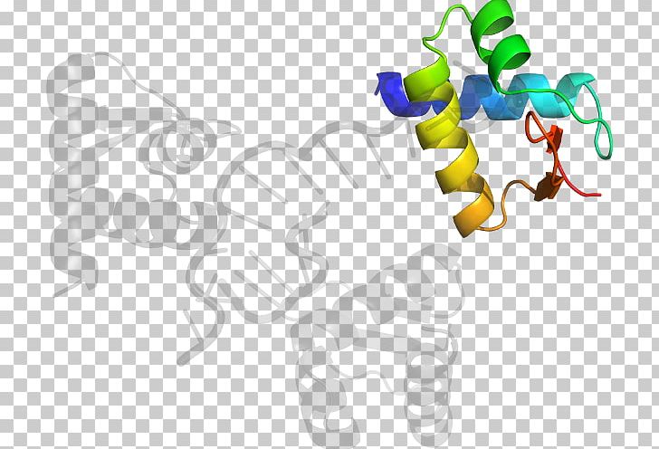 Organism Line PNG, Clipart, Adenosine Deaminase Zalpha Domain, Area, Art, Line, Organism Free PNG Download