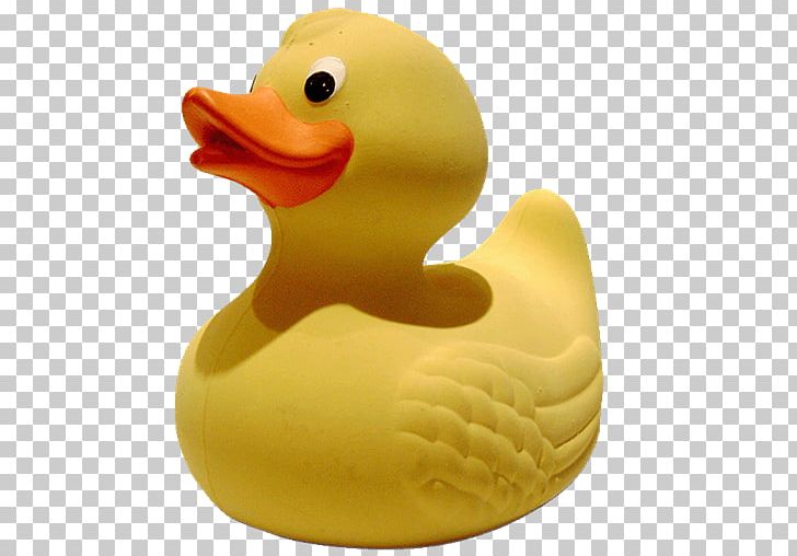 Rubber Duck Natural Rubber Synthetic Rubber PNG, Clipart, Animals, Bathtub, Beak, Bird, Duck Free PNG Download