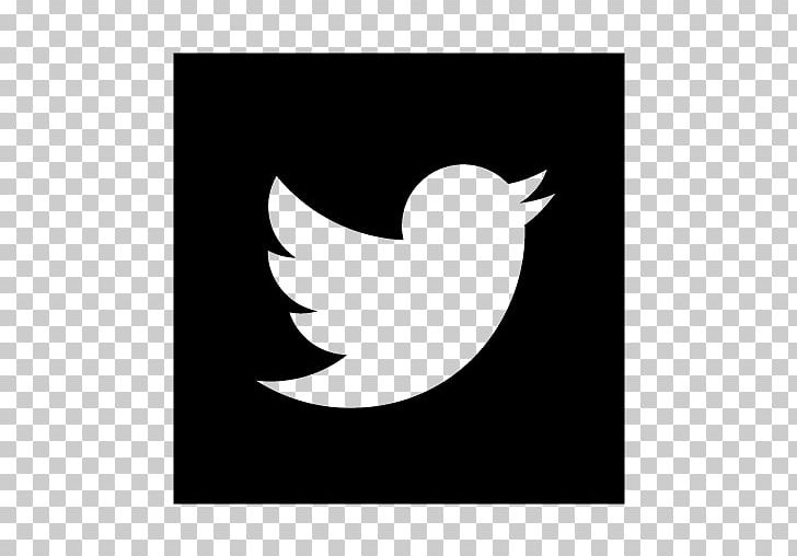 Social Media Computer Icons Swipe To YouTube Social Networking Service PNG, Clipart, Beak, Bird, Bird Of Prey, Black, Black And White Free PNG Download