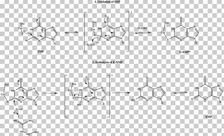 IMP Dehydrogenase Inosinic Acid Inosine /m/02csf PNG, Clipart, Angle, Area, Auto Part, Black And White, Circle Free PNG Download