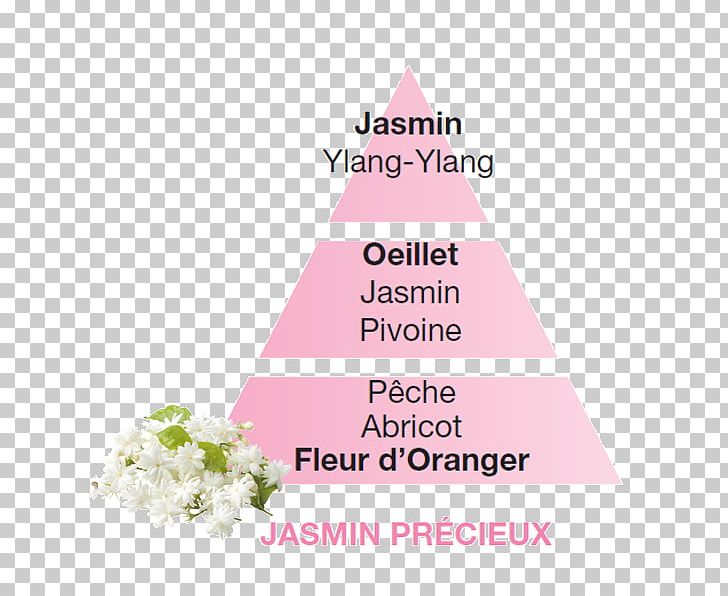 Perfume Fragrance Lamp Jasmine La Bella Candela PNG, Clipart, Candle, Diagram, Diffusion, Fragrance Lamp, Gift Free PNG Download