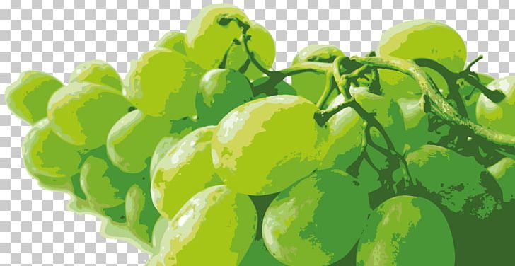 Grape Auglis Orange 141 PNG, Clipart, Auglis, Berry, Flavor, Fruit, Fruit Nut Free PNG Download