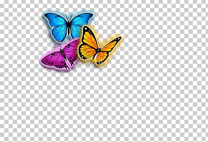 Monarch Butterfly Insect Nymphalidae Pollinator PNG, Clipart, Brush Footed Butterfly, Butterflies And Moths, Butterfly, Insect, Insects Free PNG Download