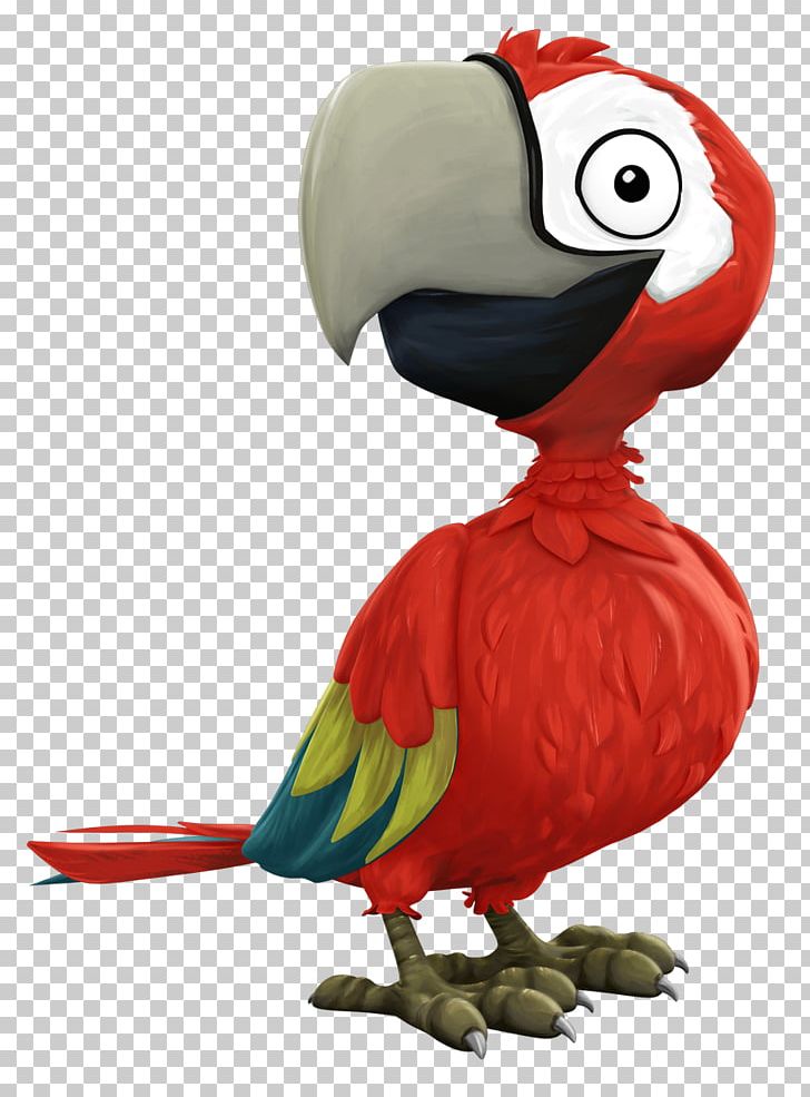 Piracy Macaw Privateer France.tv Nos Voisins Les Pirates PNG, Clipart, Beak, Bird, Book, Cannon Ball, Francetv Free PNG Download