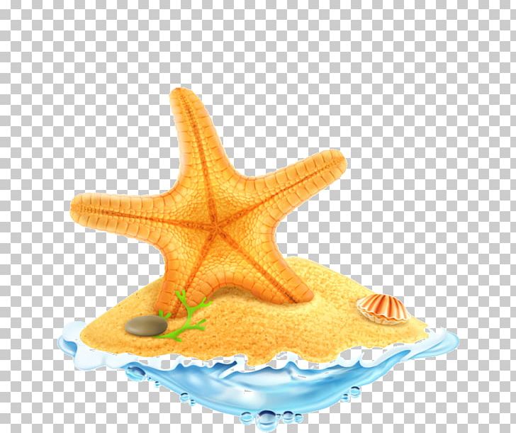 Seashell Starfish PNG, Clipart, Art, Beach, Desert, Echinoderm, Fish Free PNG Download