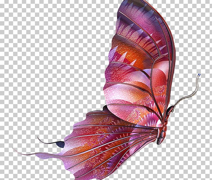 Butterfly PNG, Clipart, Butterflies And Moths, Butterfly, Color, Deco, Desktop Wallpaper Free PNG Download