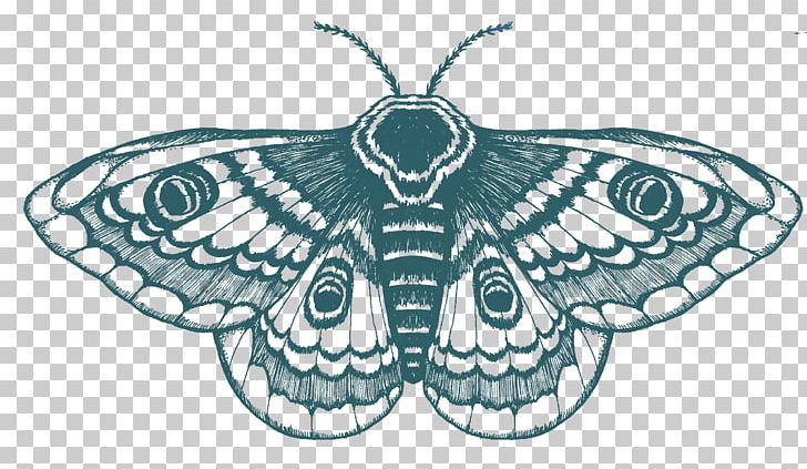 Butterfly Drawing T-shirt Moth Tattoo PNG, Clipart, Animal, Art, Arthropod, Artwork, Black And White Free PNG Download