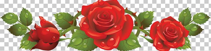 Rose Red PNG, Clipart, Bud, Cut Flowers, Floral Design, Floristry, Flower Free PNG Download