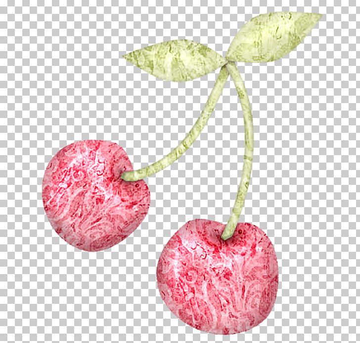 Watercolor Painting Cherry PNG, Clipart, Cherries, Cherry, Cherry Blossom, Cherry Blossoms, Download Free PNG Download