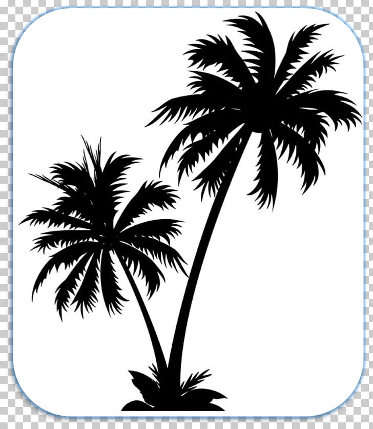 Arecaceae PNG, Clipart, Arecaceae, Arecales, Black And White, Borassus Flabellifer, Flowering Plant Free PNG Download