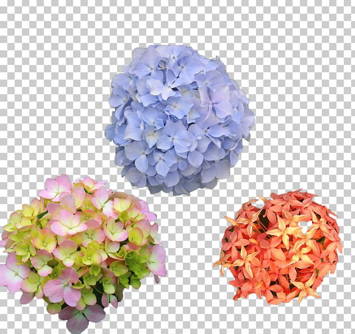 French Hydrangea Cut Flowers Petal PNG, Clipart, Artificial Flower, Common Sunflower, Cornales, Cut Flowers, Download Free PNG Download