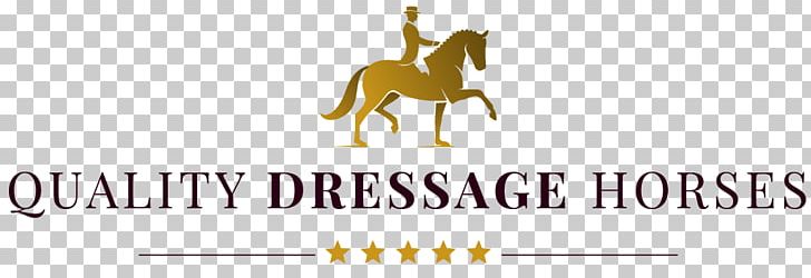 Horse Dressage Pack Animal Fajer Al-sabah School Levels PNG, Clipart, Animals, Brand, Dressage, Fajer Alsabah School, Graphic Design Free PNG Download