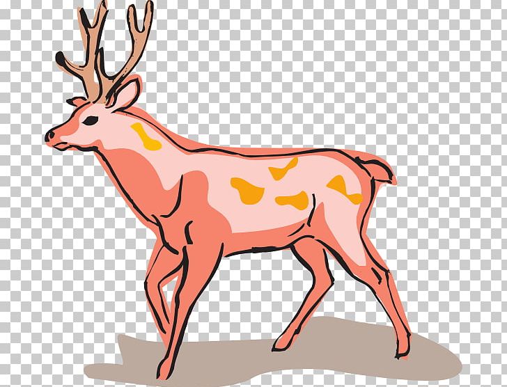 Red Deer Fallow Deer PNG, Clipart, Animal Figure, Animals, Antler, Artwork, Dama Free PNG Download