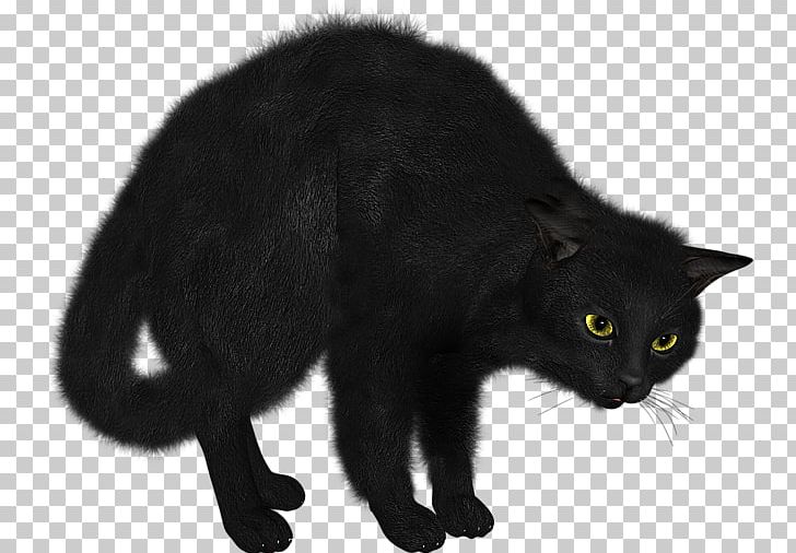 Black Cat Bombay Cat Domestic Short-haired Cat PNG, Clipart, Black, Black Cat, Bombay, Bombay Cat, Carnivoran Free PNG Download