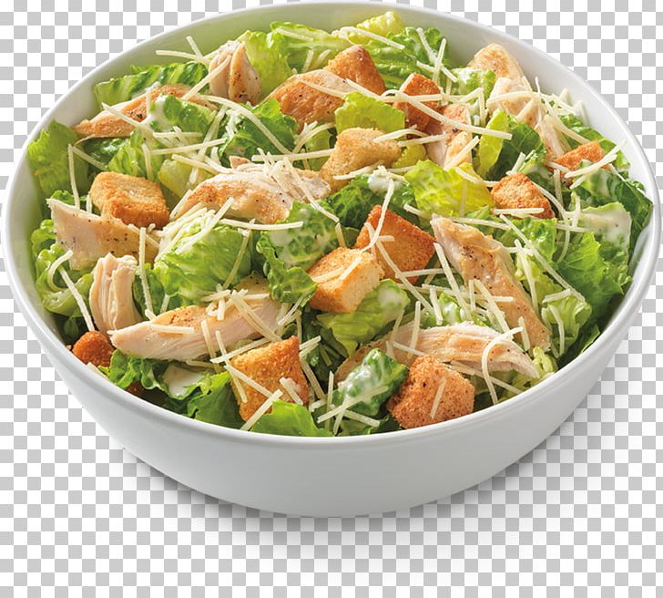 Caesar Salad Pasta Chicken Salad Chicken Soup Macaroni And Cheese PNG, Clipart, Caesar Salad, Chicken Meat, Chicken Salad, Chicken Soup, Dish Free PNG Download