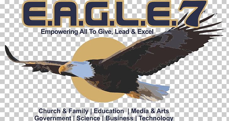 Golden Eagle Advertising Church Logo PNG, Clipart, Accipitriformes, Advertising, Beak, Bird, Bird Of Prey Free PNG Download