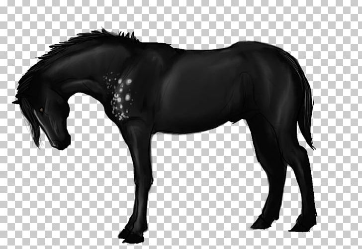 Mane Mustang Stallion Pony Halter PNG, Clipart, Bit, Black, Black And White, Black M, Bridle Free PNG Download