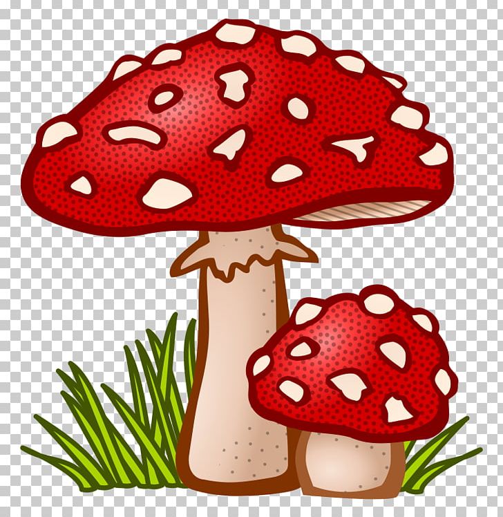 Mushroom Fungus Amanita Muscaria PNG, Clipart, Amanita Muscaria, Cartoon, Clip Art, Common Mushroom, Drawing Free PNG Download