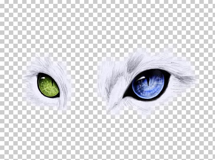 Ojos Azules Odd-eyed Cat Blue Cats Eye PNG, Clipart, Animal, Background Green, Blue, Blue Background, Brand Free PNG Download