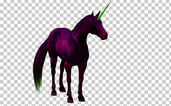 Unicorn Horse PhotoScape PNG, Clipart, 3d Computer Graphics, Animal, Coreldraw, Dark, Dark Background Free PNG Download