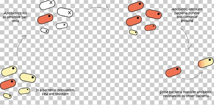 Bacteria Antimicrobial Resistance Infection Antibiotics Pneumonia PNG, Clipart,  Free PNG Download