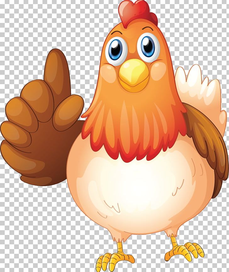 Food Photography Chicken PNG, Clipart, Background, Beak, Bird, Cartoon, Chicken Free PNG Download
