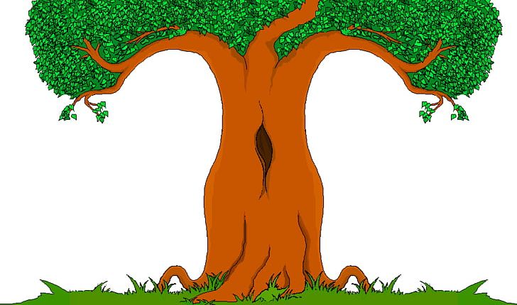 Cartoon Tree Drawing PNG, Clipart, Art, Cartoon, Citrus Xd7 Sinensis, Drawing, Fauna Free PNG Download