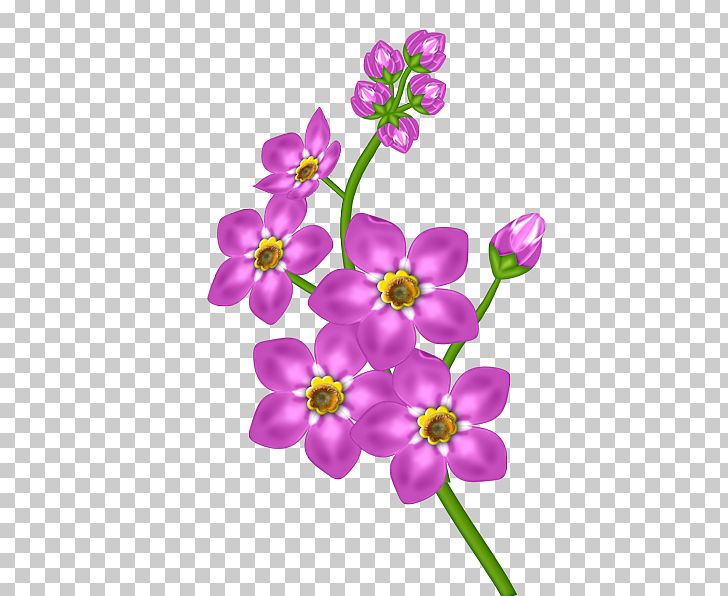 Purple Flower Png Clipart Art Blossom Clipart Clip Art Color Free Png Download