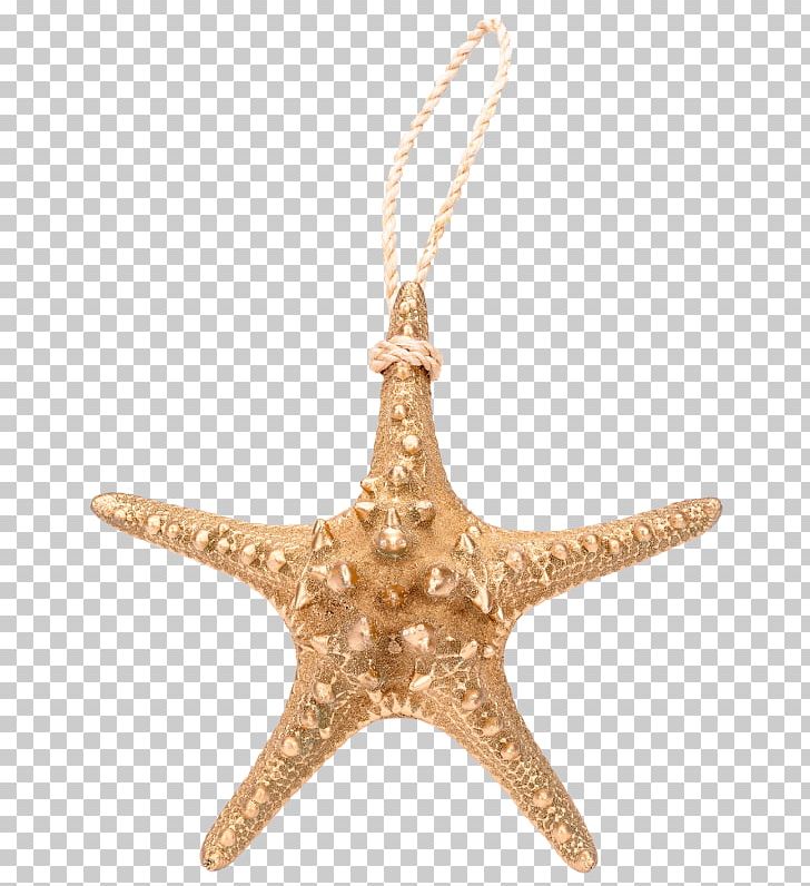 Starfish Charms & Pendants Christmas Ornament PNG, Clipart, Animals, Charms Pendants, Christmas, Christmas Ornament, Echinoderm Free PNG Download