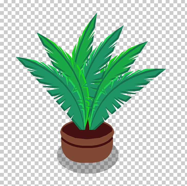 Arecaceae Houseplant Flowerpot PNG, Clipart, Arecaceae, Arecales, Drawing, Educational Game, English Free PNG Download