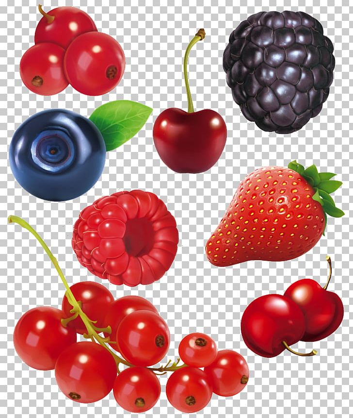Frutti Di Bosco Fruit Blackberry PNG, Clipart, Auglis, Blackberries, Blackcurrant, Blueberry, Cartoon Character Free PNG Download