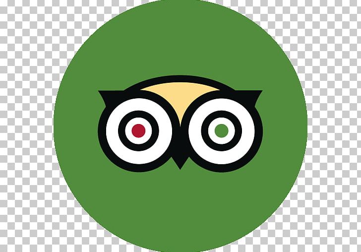 Intro To Product Management By TripAdvisor Sr Product Manager Travel Hotel Tourist Attraction PNG, Clipart, App Store, Beak, Bird, Bird Of Prey, Circle Free PNG Download
