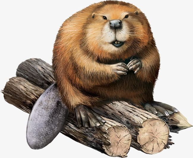 Beaver Sitting On A Log PNG, Clipart, Animal, Animals, Beaver, Beaver Clipart, Brown Free PNG Download