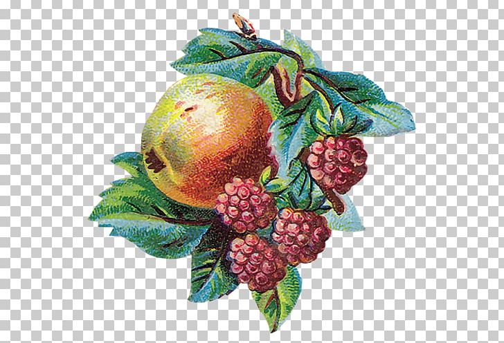 Berry Auglis Fruit Tutti Frutti PNG, Clipart, Apple, Auglis, Berry, Clip Art, Cuisine Free PNG Download
